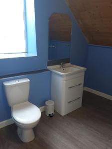 a bathroom with a white toilet and a sink at Nice big 2 double bedroom Apartment in the Town in Newquay +16 photos