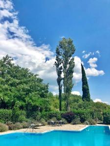 Tihaljina的住宿－Casa Ivan B&B，一座种植了树木和雕像的蓝色游泳池
