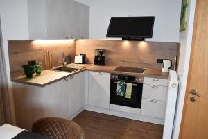 Kuchyň nebo kuchyňský kout v ubytování Ferienwohnung Drei Seen + 36 fotografií