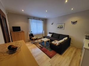 uma sala de estar com um sofá e uma mesa em Ferienwohnung Erika em Usedom Town