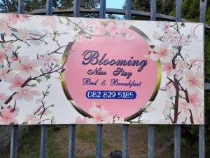 Certifikát, hodnocení, plakát nebo jiný dokument vystavený v ubytování Blooming Nice Stay