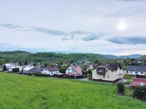 eine kleine Stadt mit Häusern und einem grünen Feld in der Unterkunft Apartmán Jeseníky in Karlovice
