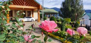 Zahrada ubytování Tea Bush Hotel