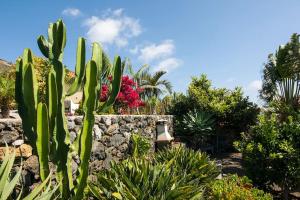 Fotografia z galérie ubytovania Casa La Time v destinácii Fuencaliente de la Palma