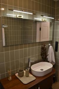een badkamer met een wastafel en een spiegel bij SynytsVille in Sinitsa