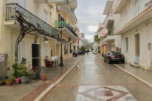 a cat walking down a city street with buildings at Vanilla loft house Preveza in Preveza