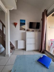 een woonkamer met een televisie en een blauw tapijt bij Les hauts d'azur in Saint Pierre La Mer