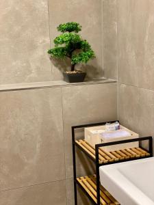 a bathroom with a plant on a shelf next to a sink at Exklusive 82 qm Loftwohnung mit Tiefgarage und Süd-Balkon zentral in Titisee-Neustadt