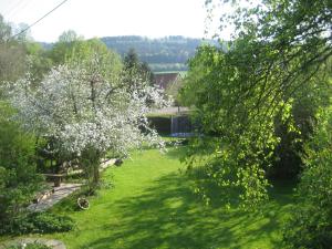 Ein Garten an der Unterkunft Gästehaus & Ferienhof Hüfner