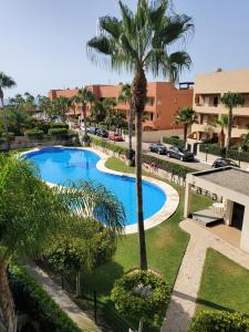 an overhead view of a swimming pool with a palm tree at Ático dúplex con piscina privada y vistas al mar en Paraíso de Vera! in Vera