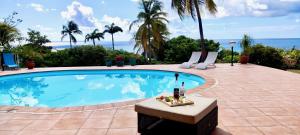 a swimming pool with a table with wine bottles at Villa Joland in Sainte-Anne