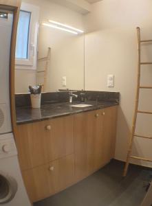 uma casa de banho com um lavatório e um espelho em La Conchee em Saint Malo