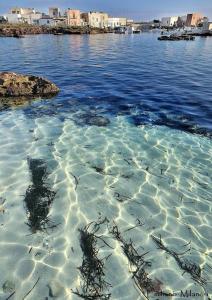 a large body of water with a city in the background at Il Cubo, monovano col mare su tre fronti. in Favignana