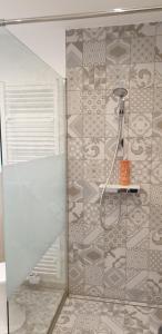 a shower with a shower head in a bathroom at Ferienwohnung zum Wohlfühlen in Lengerich