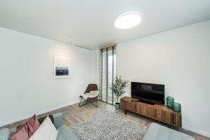 uma sala de estar com uma televisão e um sofá em Cozy Piliamiesčio apartament by URBAN RENT em Kaunas