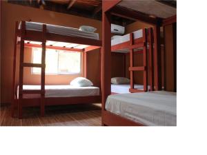 Gallery image of Coral Reef Surf Hostel and Camp in Tamarindo