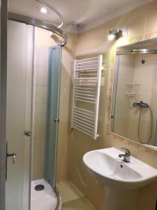 a bathroom with a shower toilet and a sink at Pod Smrcinou in Nová Pec +91 photos