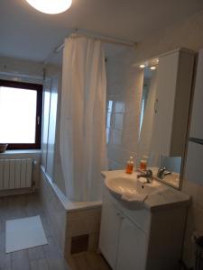 Kúpeľňa v ubytovaní Apartman Mislav. Udoban apartman u centru grada. + 7 fotografií