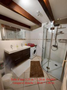 a bathroom with a shower and a sink and a washing machine at La Grange de La Coste in Saint-Barthélemy-le-Meil