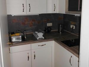 a kitchen with a sink and a counter top at Königliche Villa - Turmappartement in Berchtesgaden
