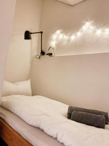 バイロイトにあるSali-Bayreuth direkt am Tierparkのベッドルーム1室(壁に照明付きのベッド1台付)