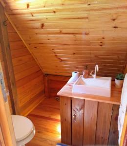 een badkamer met een wastafel en een toilet bij Chalé Recanto da Tiriva in Urubici +13 foto's