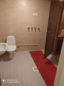 un baño con inodoro y lavabo en Korento, en Sotkajärvi 11 fotos más