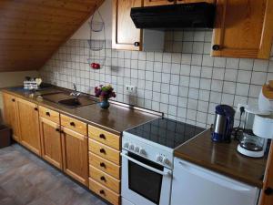Kuchyň nebo kuchyňský kout v ubytování Ferienwohnung Krenzer