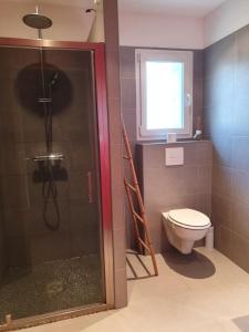 a bathroom with a shower and a toilet and a window at VILLA CHJOSELLA 150M2 PISCINE ET AU CALME in Santa-Reparata-di-Balagna