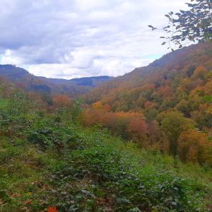 Paesaggio naturale nelle vicinanze del bed & breakfast