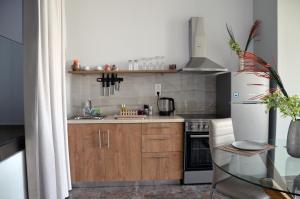 Kuchnia lub aneks kuchenny w obiekcie Zeus Throne Suites