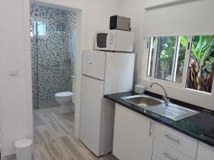 a kitchen with a white refrigerator and a sink at Tabua Village Madeira Suite VIP in Ribeira Brava