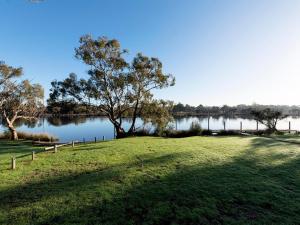 un campo de hierba con un árbol y un lago en Swan River Hotel en Perth