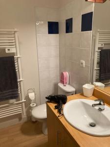 a bathroom with a sink and a toilet at Guzet Neige coeur station in Ustou