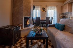 AnthochórionPefkos House的带沙发和壁炉的客厅