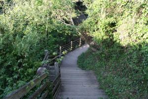 a wooden path with a wooden fence and trees at La marine D'opale in Ambleteuse +188 photos