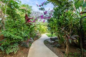 A garden outside Iluminar Beachfront Suites