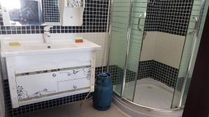ein Badezimmer mit Waschbecken und Dusche in der Unterkunft Soleil Couchant No 2 in Flic-en-Flac