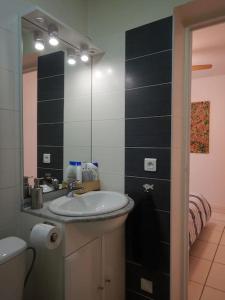 La salle de bains est pourvue d'un lavabo, de toilettes et d'un miroir. dans l'établissement Brive Centre, à Brive-la-Gaillarde