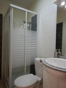La salle de bains est pourvue d'une douche, de toilettes et d'un lavabo. dans l'établissement Brive Centre, à Brive-la-Gaillarde