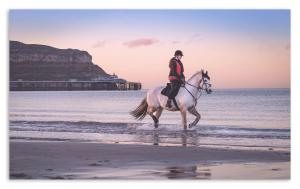 een persoon op een paard op het strand bij Superb Cintra Beachside Apartments in Llandudno