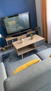 TV a/nebo společenská místnost v ubytování Superbe T2 style scandinave