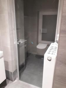 y baño con ducha, aseo y lavamanos. en Harmonie 2 chambres parking et wifi gratuits en Charleroi