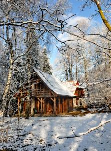a log cabin in the woods with snow on the ground at Villejka, domki i domy wakacyjne in Wetlina
