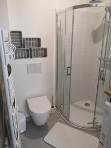 uma casa de banho com um chuveiro e um WC. em Haute ville : studio ravissant em Granville