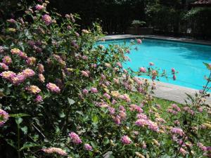 ein Schwimmbecken mit rosa Blumen daneben in der Unterkunft Hotel Rancho El Morillo in Saltillo