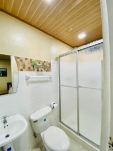 a bathroom with a toilet and a glass shower at Hotel Ana Mary in Santiago