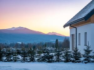 dom z choinkami na zewnątrz w śniegu w obiekcie Białe Chyże w Wetlinie