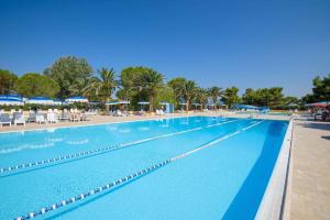 una gran piscina con tumbonas y sombrillas en Holiday Homes in Piombino - Toskana 42359, en Piombino