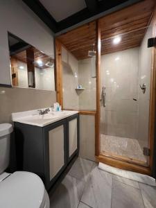 a bathroom with a shower and a sink and a toilet at Chateau Suites in Norristown